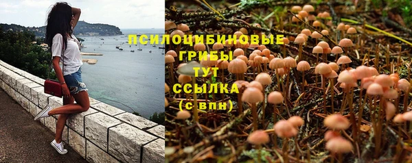 СК Богородицк