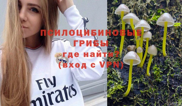 дурь Новозыбков