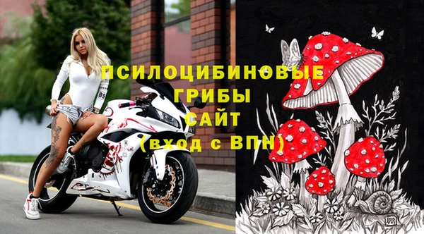 герыч Новодвинск
