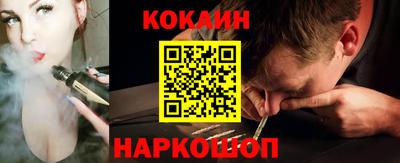 гидропоника Гатчина