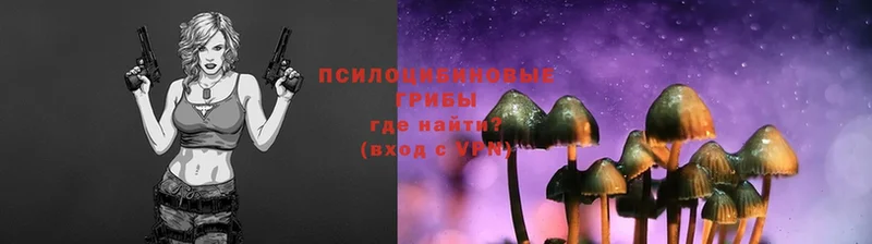 Псилоцибиновые грибы Psilocybe  даркнет сайт  OMG вход  Рославль 