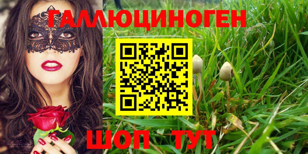 Галлюциногенные грибы MAGIC MUSHROOMS Рославль
