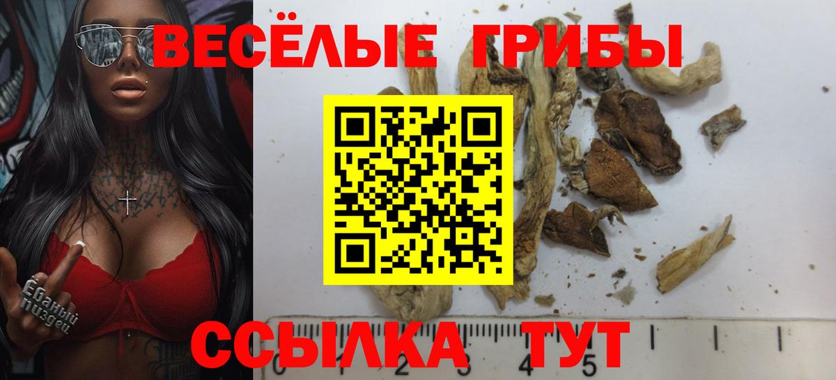 Галлюциногенные грибы прущие грибы Рославль